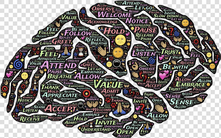 Cerebro De La Mujer Embarazada  HD Png DownloadTransparent PNG