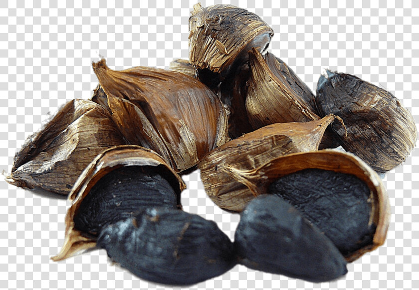Ajo Negro   Black Garlic Png  Transparent PngTransparent PNG