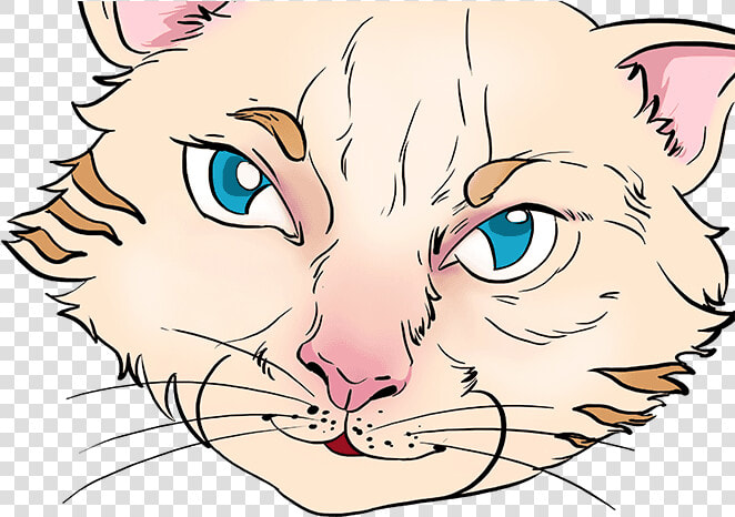 How To Draw Cat Eyes   Cat Yawns  HD Png DownloadTransparent PNG