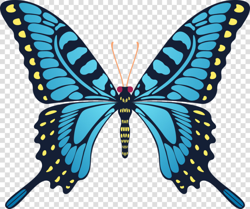 Transparent Yellow Butterfly Clipart   Butterfly Animated Gif  HD Png DownloadTransparent PNG