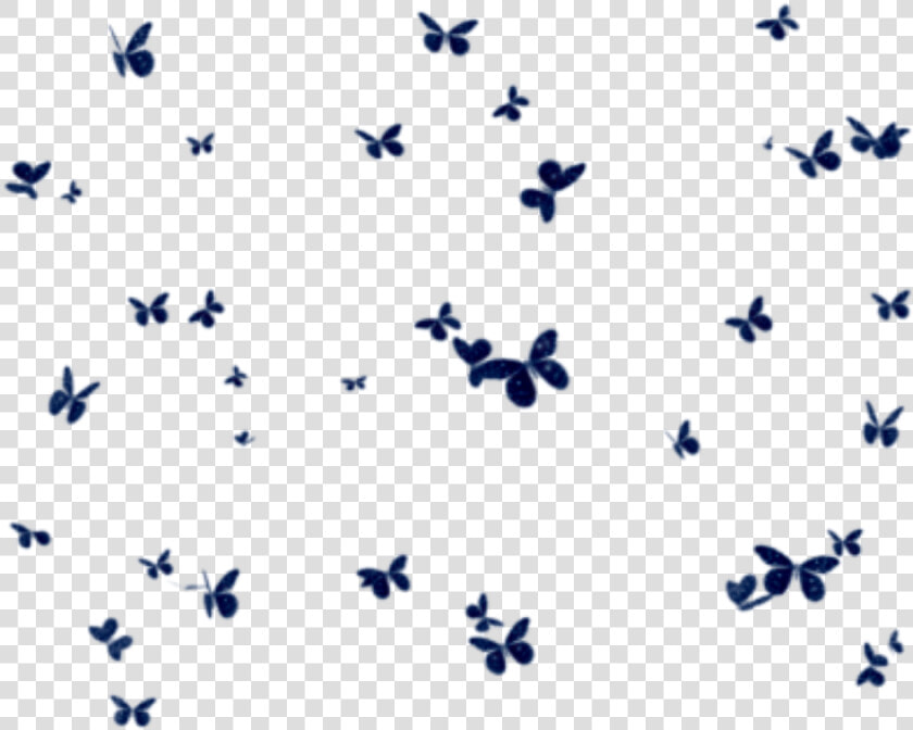  butterflies  mariposas  mariposa  butterfly  group   Borboletas Png Fundo Transparente  Png DownloadTransparent PNG