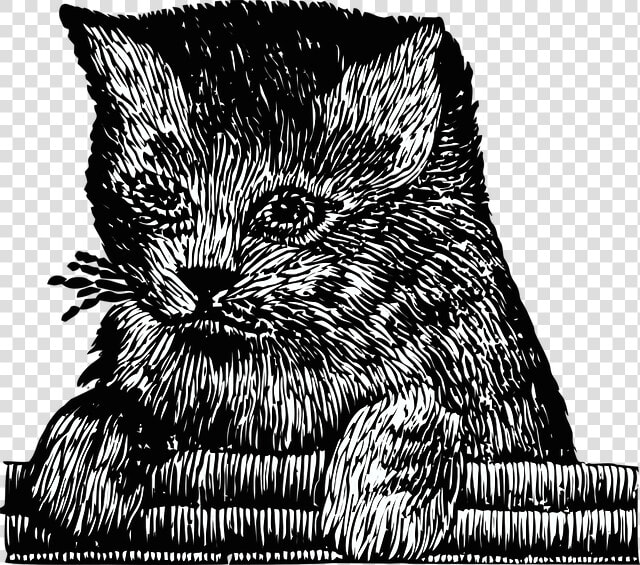 Kitten  Cat  Pet  Cute  Embroidery  Feline   Illustration  HD Png DownloadTransparent PNG