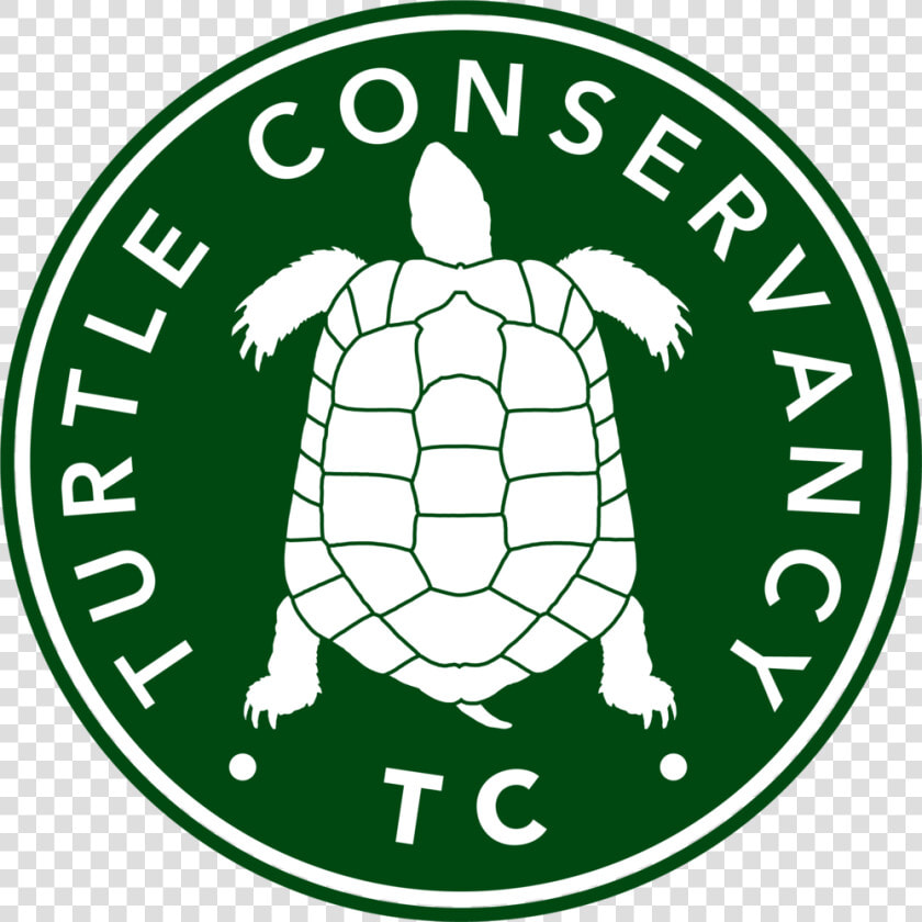 Turtle Conservancy   American League Champs 2019  HD Png DownloadTransparent PNG