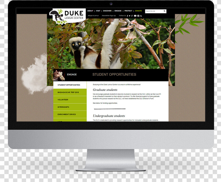 Kompleks Web Design Duke University Lemur Center   Computer Monitor  HD Png DownloadTransparent PNG