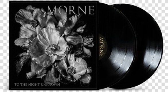 Morne To The Night Unknown Class   Morne To The Night Unknown  HD Png DownloadTransparent PNG