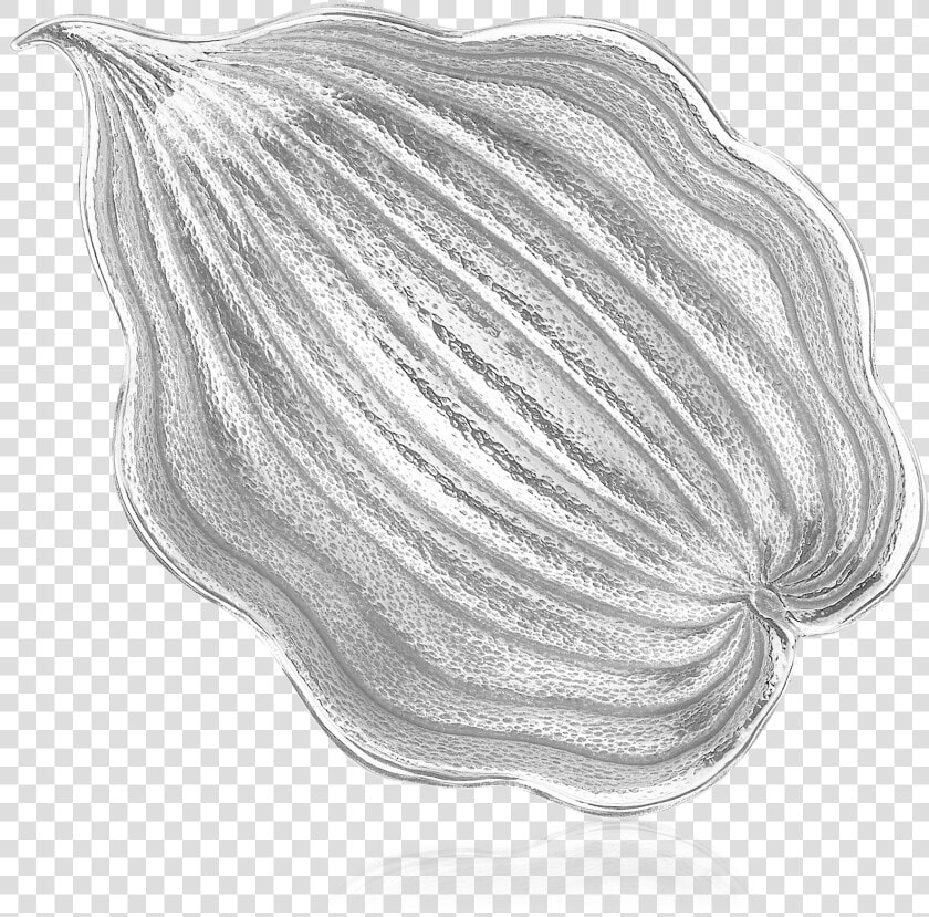 Buccellati   Bowls   Hosta   Bowls   Sketch  HD Png DownloadTransparent PNG