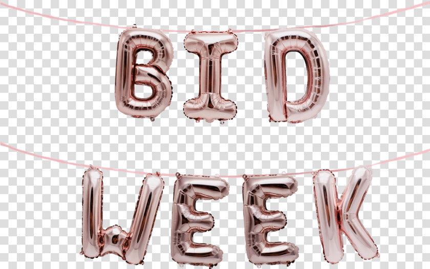Bid Week Greek Alphabet Balloon Banner Set Fraternity   Silver  HD Png DownloadTransparent PNG