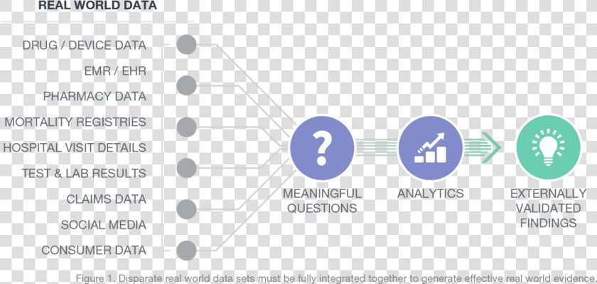 Rwe Diagram   Real World Data Evidence  HD Png DownloadTransparent PNG