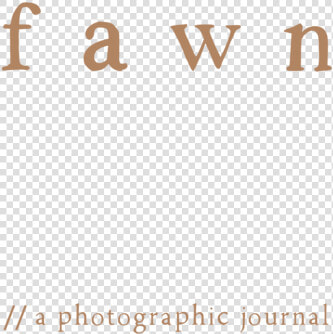 Fawn 01   Parallel  HD Png DownloadTransparent PNG