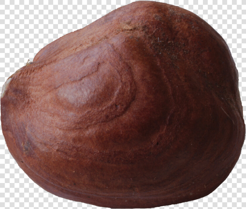File   Hazelnut macro   Baked Goods  HD Png DownloadTransparent PNG