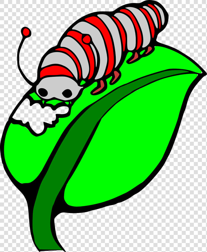 Caterpillar On A Leaf Clipart Panda Free Images   Caterpillar Eating Leaf Cartoon  HD Png DownloadTransparent PNG