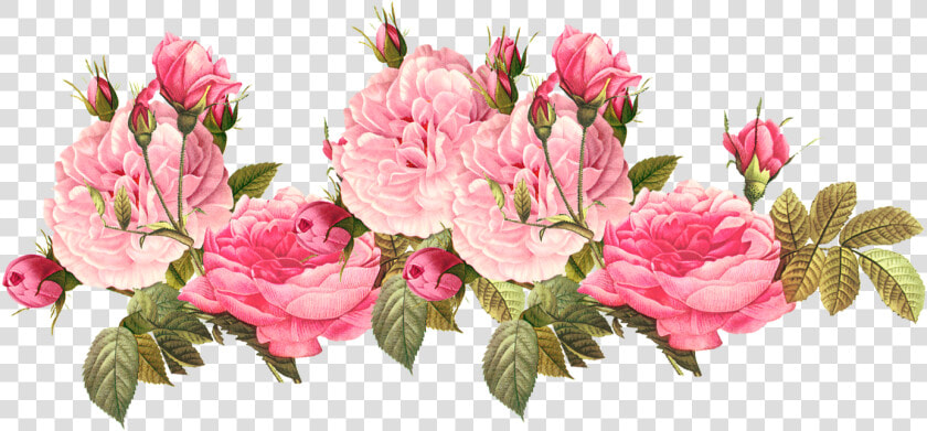 Romantic Pink Flower Border Png Photos   Transparent Pink Flower Png  Png DownloadTransparent PNG