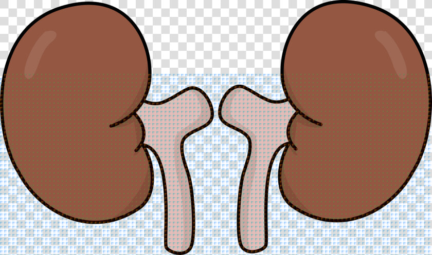 Kidneys Clipart  HD Png DownloadTransparent PNG