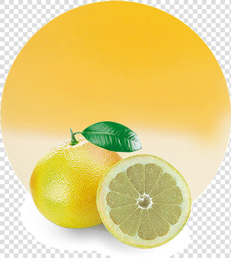 Lemon And White Grapefruit Look Alike  HD Png DownloadTransparent PNG