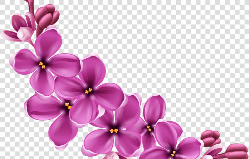Portable Network Graphics Clip Art Transparency Flower   Background Purple Flower Png  Transparent PngTransparent PNG