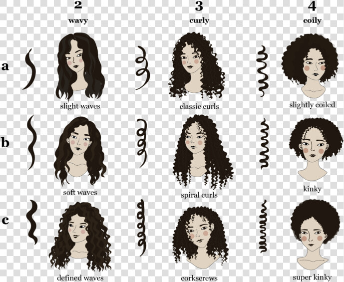 Type Of Hair Curl Pattern  HD Png DownloadTransparent PNG