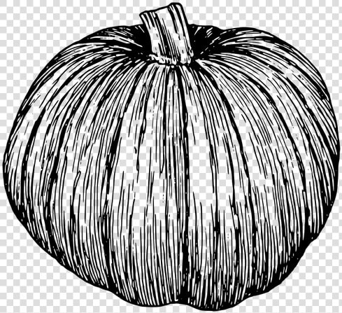 Pumpkin Silhouette Vector Clip Art   Pumpkin Illustration Black And White  HD Png DownloadTransparent PNG