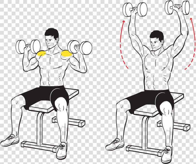 Seated Military Press  HD Png DownloadTransparent PNG