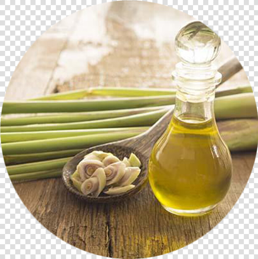 Lemongrass And Garlic As Mosquito Repellent  HD Png DownloadTransparent PNG