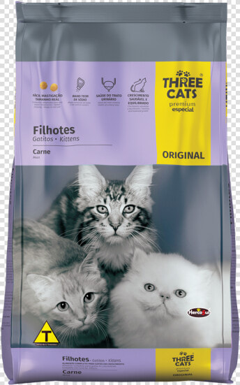 Original Kittens   Meats   Three Cats Gatos Filhotes  HD Png DownloadTransparent PNG