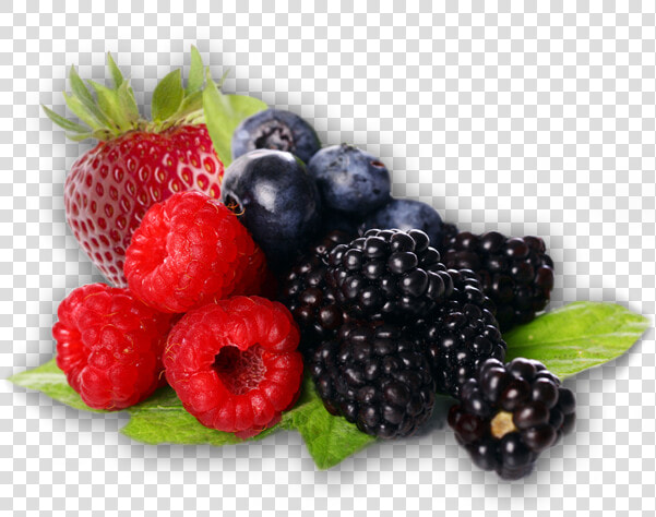 Bramble   Transparent Background Berries Png  Png DownloadTransparent PNG