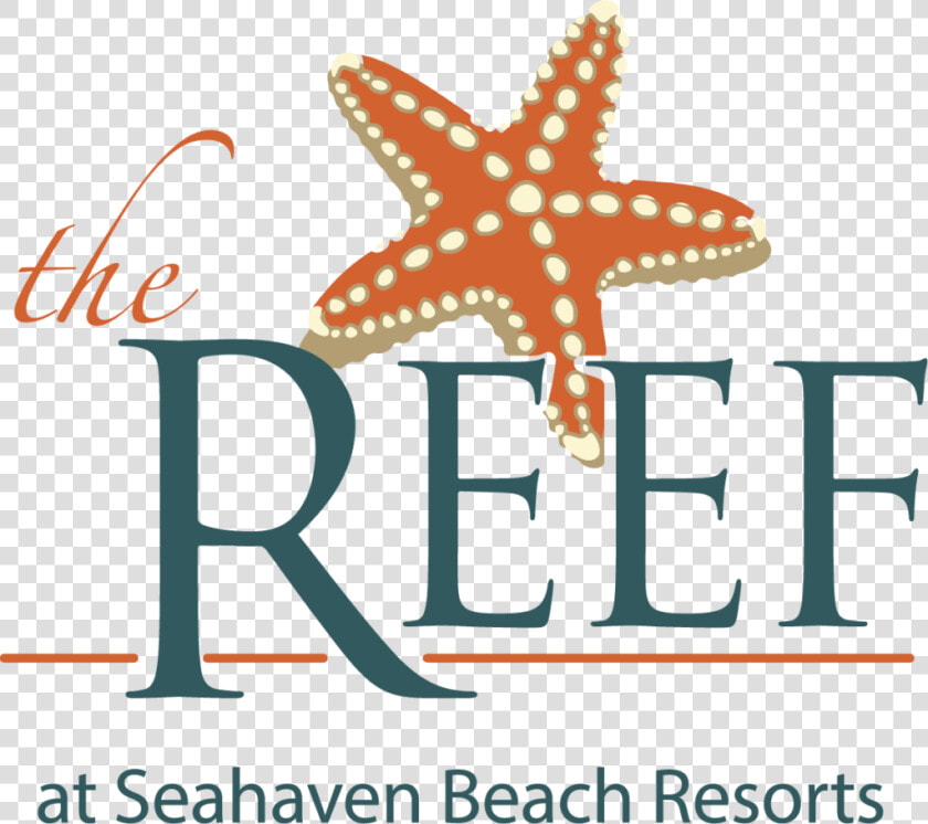 Reef Hotel Logo Outlines   Starfish  HD Png DownloadTransparent PNG