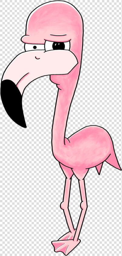 Pink Flamingo   Greater Flamingo  HD Png DownloadTransparent PNG