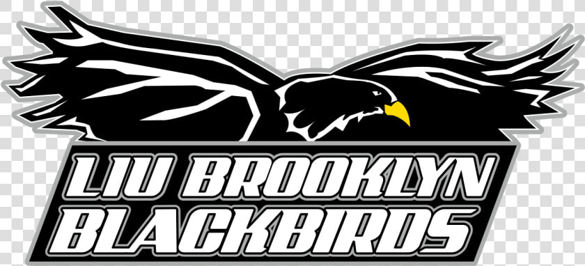 Liu Brooklyn Pulls Out Of Tri meet With Rutgers  Brown   Liu Brooklyn Blackbirds Logo  HD Png DownloadTransparent PNG