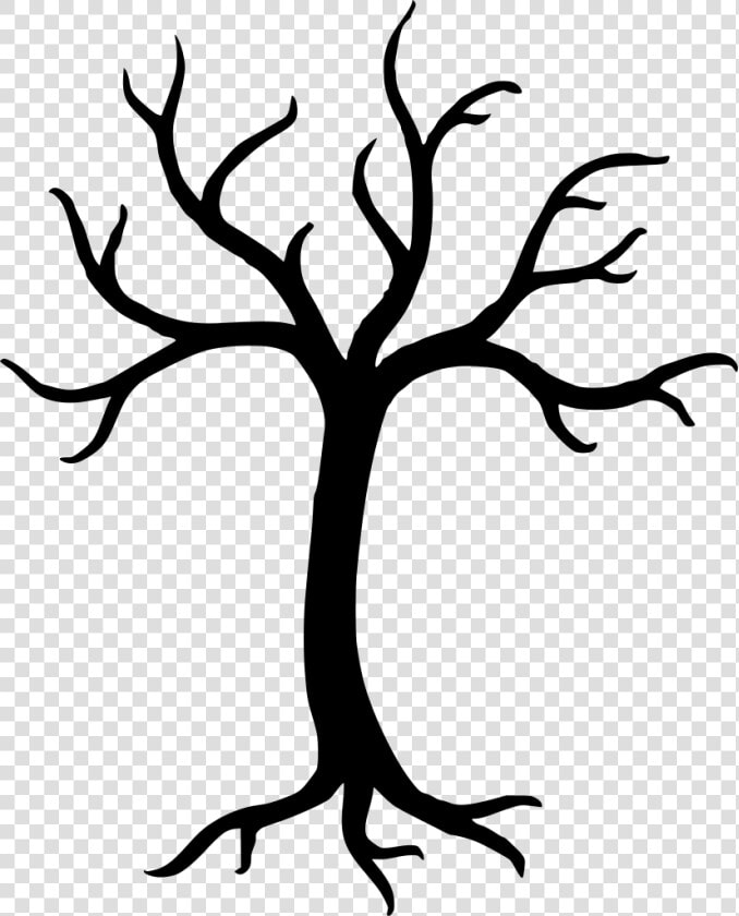 Tree With 5 Branches  HD Png DownloadTransparent PNG