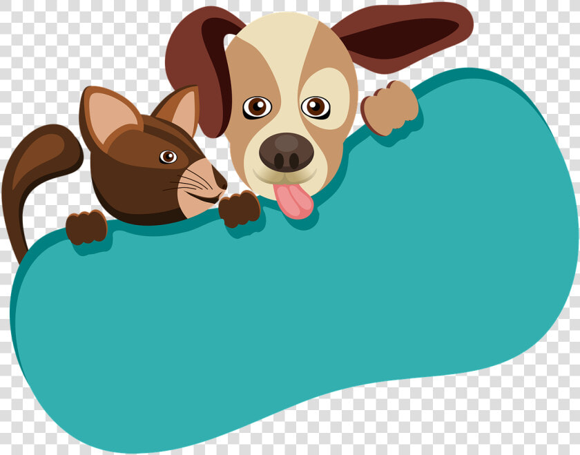 Animales  Perro  Gato  Mamífero  Amistad  Naturaleza   Cão E Gato Desenho Png  Transparent PngTransparent PNG