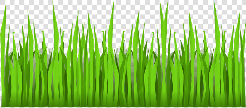 Green  Grass  Growing  Nature  Mowing  Plant  Outside   Cartoon Grass No Background  HD Png DownloadTransparent PNG