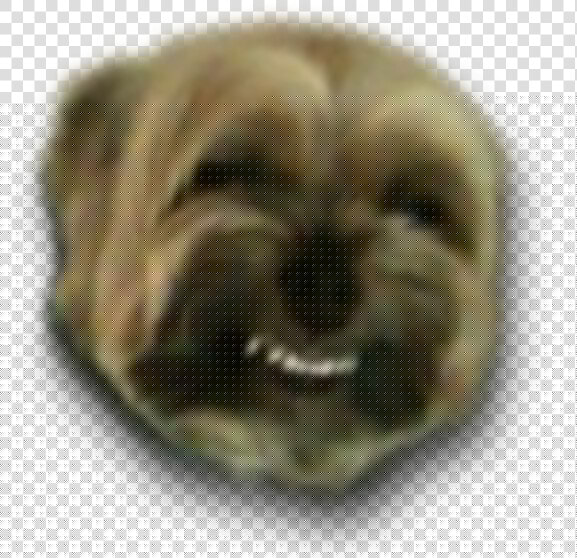 My Faggot Dog  HD Png DownloadTransparent PNG