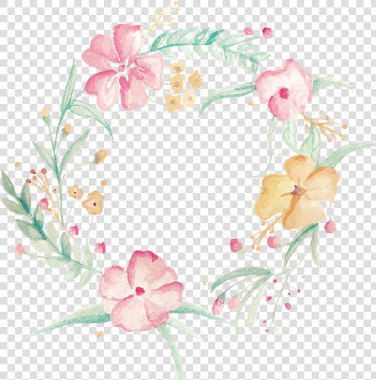 Flower Border   Cattleya  HD Png DownloadTransparent PNG