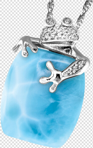 Tree Frog Larimar Necklace   Locket  HD Png DownloadTransparent PNG