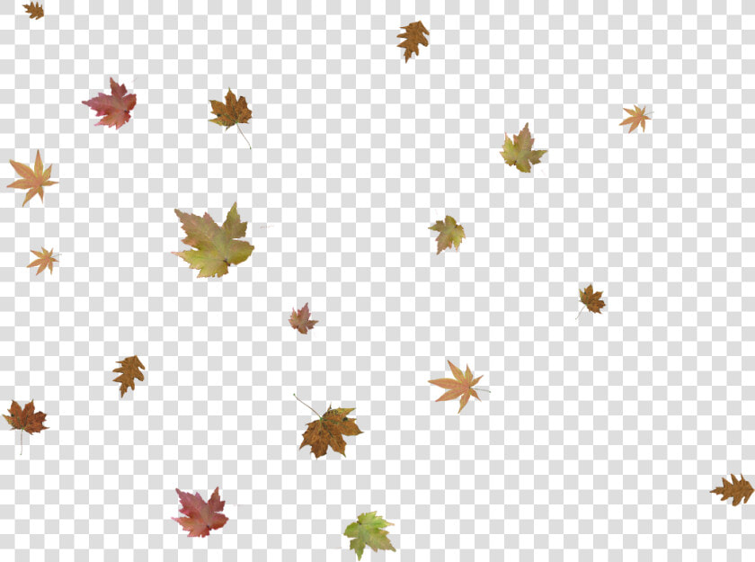 Falling Leaves Png   Autumn Leaf Falling Png  Transparent PngTransparent PNG