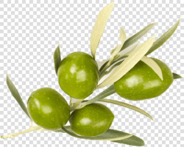 Free Png Olive Png Images Transparent   Olive Png  Png DownloadTransparent PNG