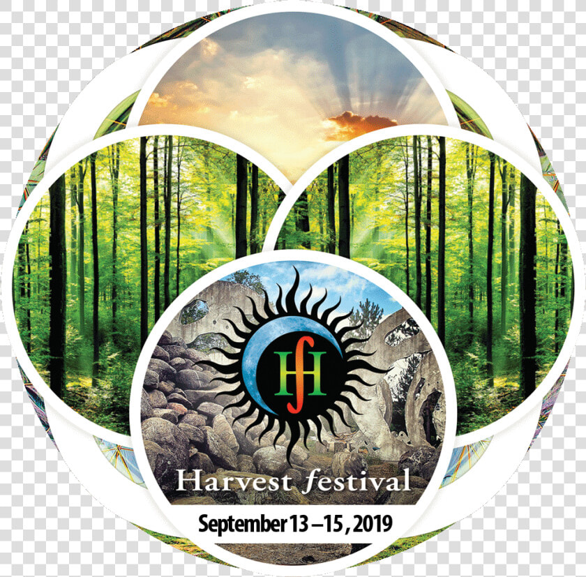 Keyshot   Badge  HD Png DownloadTransparent PNG