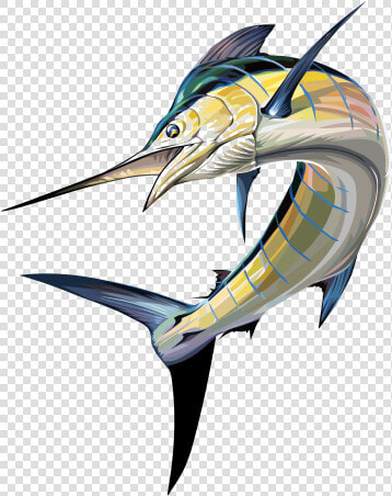 Marlin Sailfish   Fish As Food  HD Png DownloadTransparent PNG