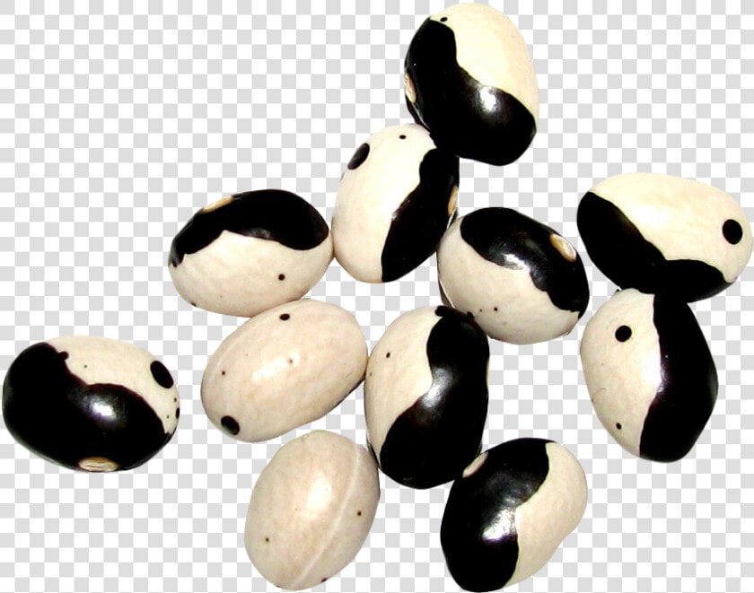Yin Yang Beans Png Image   Yin And Yang  Transparent PngTransparent PNG
