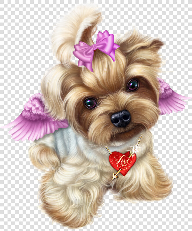 Transparent Teacup Drawing Png   Yorkie Transparent  Png DownloadTransparent PNG