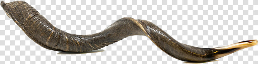 Shofar Png Clipart   Wood  Transparent PngTransparent PNG