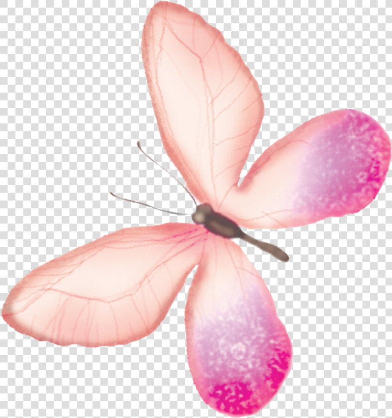 Butterfly Transparency And Translucency   Pink Butterfly Watercolor Backgrounds  HD Png DownloadTransparent PNG