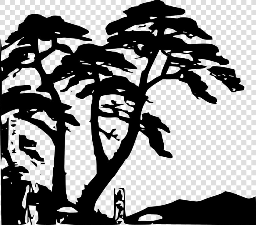 Vegetation Drawing Jungle Plant   Jungle Tree Top Clipart  HD Png DownloadTransparent PNG