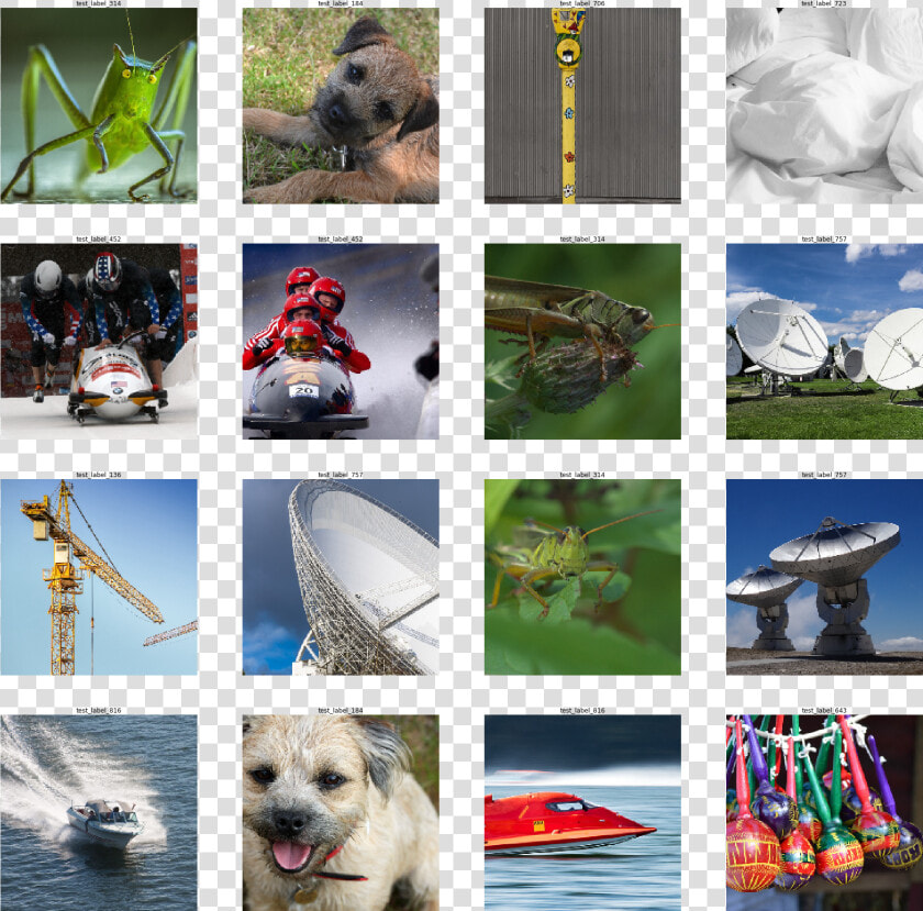   Images examples Dataloading Tfrecord 9 0   Polar Bear  HD Png DownloadTransparent PNG