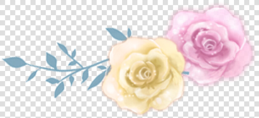  bloom  rose  flower  border  flowers  white  bouquet   Garden Roses  HD Png DownloadTransparent PNG