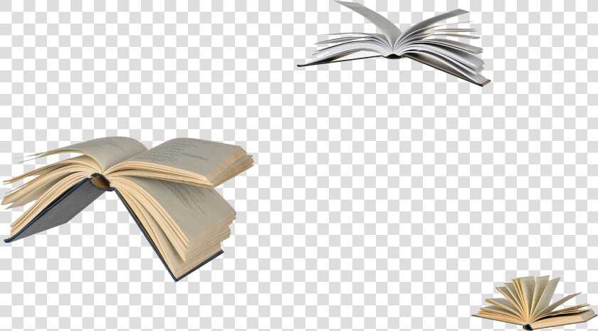 Link To Christmas Corner At Hogwarts On Pottermore   Harry Potter Flying Books  HD Png DownloadTransparent PNG