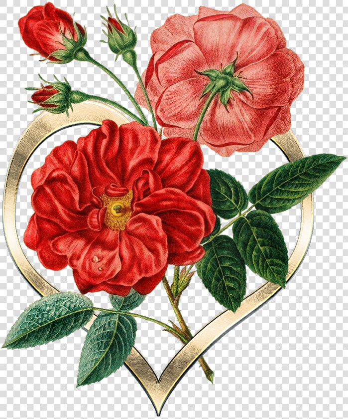 Heart  Metal  Gold  Flowers  Texture  Graphic   Botanical Red Flower Illustrations  HD Png DownloadTransparent PNG