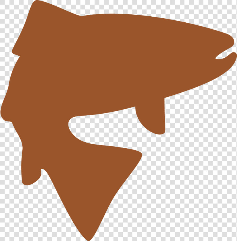 Fly Fishing Trips We Offer  HD Png DownloadTransparent PNG