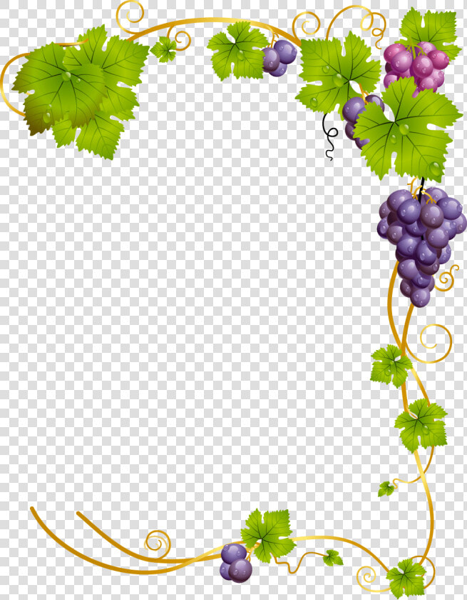 Transparent Grapevine Border Clipart   Grape Vine Clipart Png  Png DownloadTransparent PNG