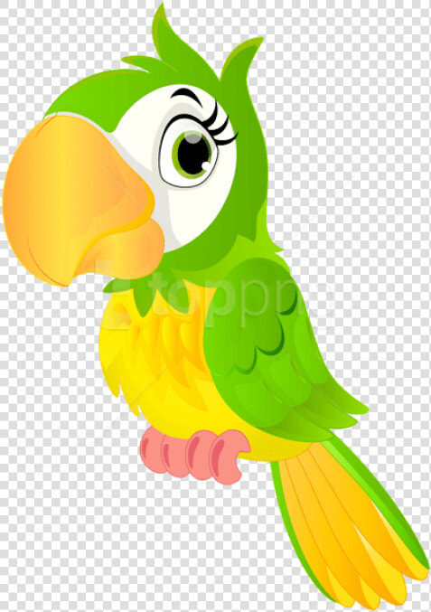 Free Png Download Parrot Cartoon Clipart Png Photo   Cute Parrot Cartoon Png  Transparent PngTransparent PNG